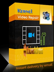 Kernel Video Repair Crack