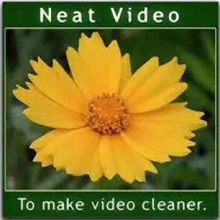 Neat Video Crack