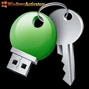 Rohos-Logon-Key-Crack-ink